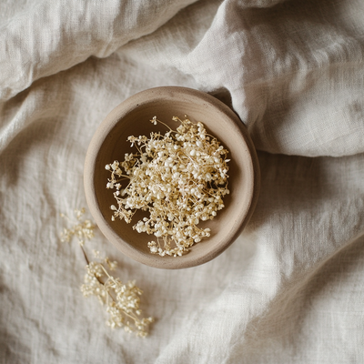 Elderflowers 